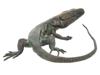 LINDA HORN MODERN BRONZE SCULPTURE OF A LIZARD PIC-3