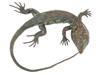 LINDA HORN MODERN BRONZE SCULPTURE OF A LIZARD PIC-5