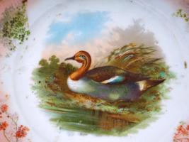 ANTIQUE SET OF PORCELAIN PLATES WITH GAME BIRDS