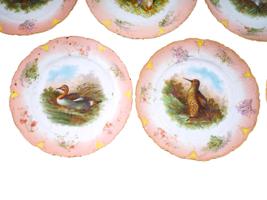 ANTIQUE SET OF PORCELAIN PLATES WITH GAME BIRDS