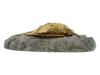 VINTAGE BRONZE SCULPTURE OF A DECEASED BIRD ON STONE PIC-2
