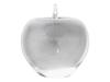 TIFFANY CO ETCHED GLASS APPLE FIGURAL PAPERWEIGHT PIC-0