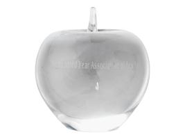 TIFFANY CO ETCHED GLASS APPLE FIGURAL PAPERWEIGHT