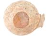 ANCIENT HOLY LAND ISRAEL POTTERY DIPPER PIC-6