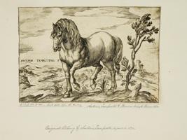 ANTIQUE HORSE ETCHINGS BY ANTONIO TEMPESTA C 1590