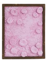 ATTR TO YVES KLEIN FRENCH PINK MIXED MEDIA PAINTING