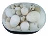 EDWARDIAN ERA COLLECTION OF EXOTIC EGGS IN GLASS DOME PIC-5