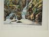 ANTIQUE HAND COLOR LITHOGRAPHS BY MARIANNE COLSTON PIC-8
