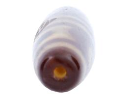 ANCIENT TIBETAN DOUBLE LONGEVITY MOTIF DZI AGATE BEAD