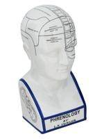 CERAMIC PHRENOLOGY HEAD AFTER L. N. FOWLER