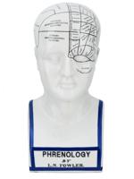 CERAMIC PHRENOLOGY HEAD AFTER L. N. FOWLER