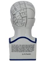 CERAMIC PHRENOLOGY HEAD AFTER L. N. FOWLER