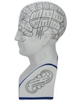 CERAMIC PHRENOLOGY HEAD AFTER L. N. FOWLER