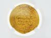 ISLAMIC GHAZNAVID DYNASTY MAHMUD GOLD DINAR COIN PIC-4