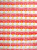 100 CANS POSTER ALBRIGHT KNOX GALLERY ANDY WARHOL PIC-1