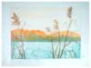 AMERICAN AUTUMN LANDSCAPE ETCHING BY ANNE TUTTLE PIC-0