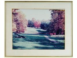 1960S COLOR PHOTOGRAPH OF CENTRAL PARK NEW YORK