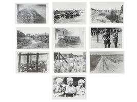 GROUP PHOTOS OF CONCENTRATION CAMPS POLISH ARCHIVES