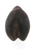 CENTRAL AFRICAN NORTH CAMEROON WOOD PHALLUS KIRDI PIC-5