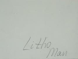 1930S COLOR LITHOGRAPH LANDSCAPE VIEW OF MANHATTAN