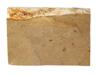 STONE SLAB W FOSSIL PREHISTORIC FISH PRISCACARA PIC-6