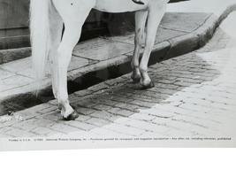 1965 PHOTOGRAPH OF GINA LOLLOBRIGIDA ON HORSEBACK