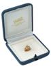 MIDCENT MINIATURE 18K YELLOW GOLD RUBY BUG BROOCH PIC-0