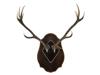 LARGE VINTAGE AUSTRIAN STAG ANTLERS WALL DECOR PIC-0