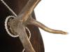 LARGE VINTAGE AUSTRIAN STAG ANTLERS WALL DECOR PIC-5