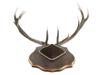 LARGE VINTAGE AUSTRIAN STAG ANTLERS WALL DECOR PIC-2