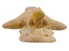 ANCIENT SYRO HITTITE TERRACOTTA BIRD FACED ASTARTE PIC-7