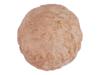 ANCIENT MESOPOTAMIAN SUMERIAN BULLA CLAY SEAL PIC-4