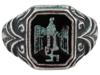 WWII NAZI GERMAN NSDAP OFFICIALS MODEL RING PIC-0