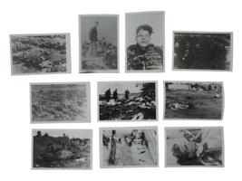 GROUP OF 10 PHOTOS OF NAZI CRIMES AGAINST HUMANITY