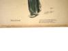 1902 FRENCH L ASSIETTE AU BEURRE MAGAZINE ISSUES PIC-10