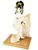 WWII ERA LARGE JAPANESE HAND MADE BRIDE GEISHA DOLL PIC-0