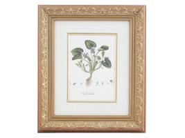 VINTAGE BOTANICAL FLORAL COLOR PRINT VIOLET FRAMED