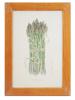 AMERICAN ASPARAGUS COLOR PRINT BY KAREN FRANCES GRAY PIC-0