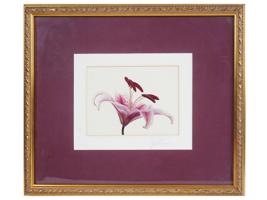 20TH CENTURY SCHOOL LILY FLOWER COLOR PRINT SIGNED