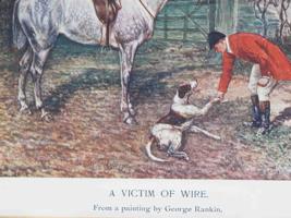 VTG ENGLISH GEORGE RANKIN A VICTIM OF WIRE PRINT