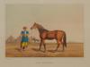 ANTIQUE ENGLISH HENRY ALKEN EQUESTRIAN ENGRAVING PIC-1