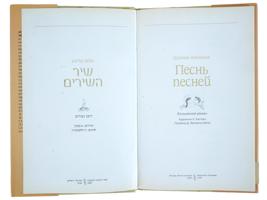 COLLECTION OF RUSSIAN JEWISH HISTORY NOVEL BOOKS