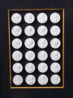 COLLECTION OF PLASTER CAMEO PORTRAIT MEDALLIONS FRAMED