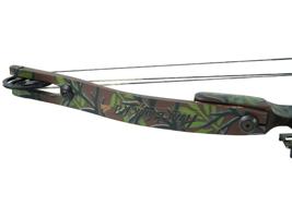 AMERICAN POINT BLANK LTD MENS COMPOUND BOW