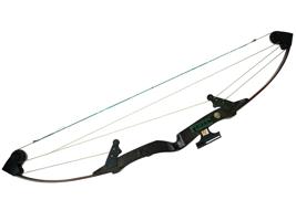 AMERICAN WHITETAIL HUNTER COMPOUND BOW F HUNTING