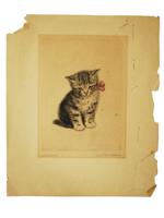 GERMAN CAT PORTRAIT ETCHING BY META PLUCKEBAUM