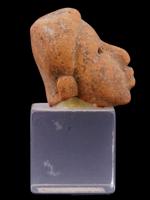 ANCIENT MESOAMERICAN PUREPECHA IRECHIKWA HEAD SCULPTURE