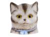 ANTIQUE GERMAN BISQUE PORCELAIN CAT HEAD LANTERN PIC-2