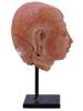 ANCIENT THAI DVARAVATI EARTHENWARE HEAD SCULPTURE PIC-3