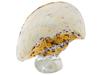 LARGE VINTAGE ART GLASS  SEASHELL DECORATION PIC-0